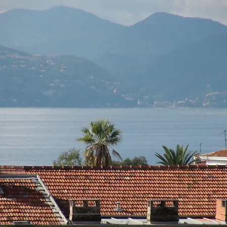 Les Palmes * Cannes